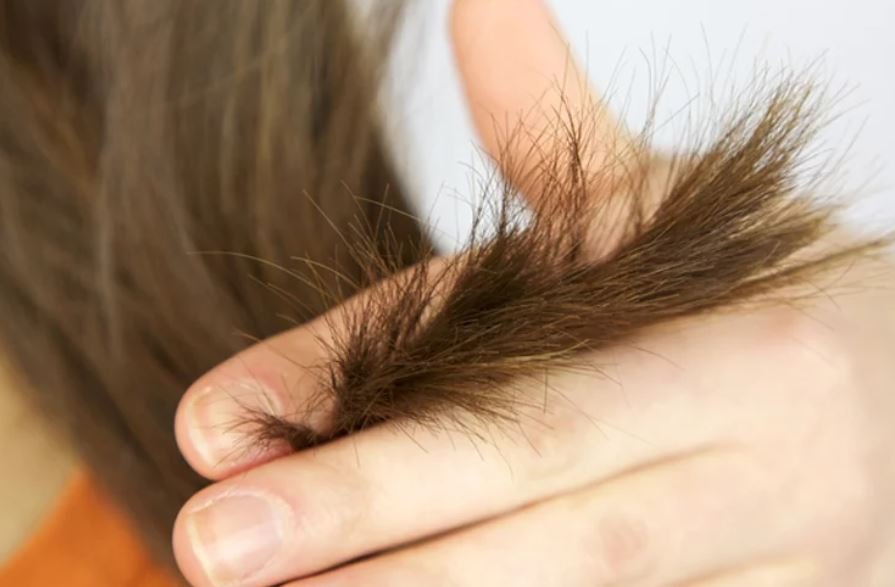 Meaning, Causes and How to Repair Split Ends